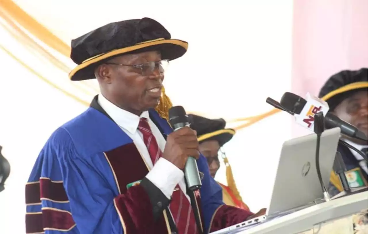 Mushroom cultivation can tackle poverty, food insecurity in Nigeria, says scholar | TheCable