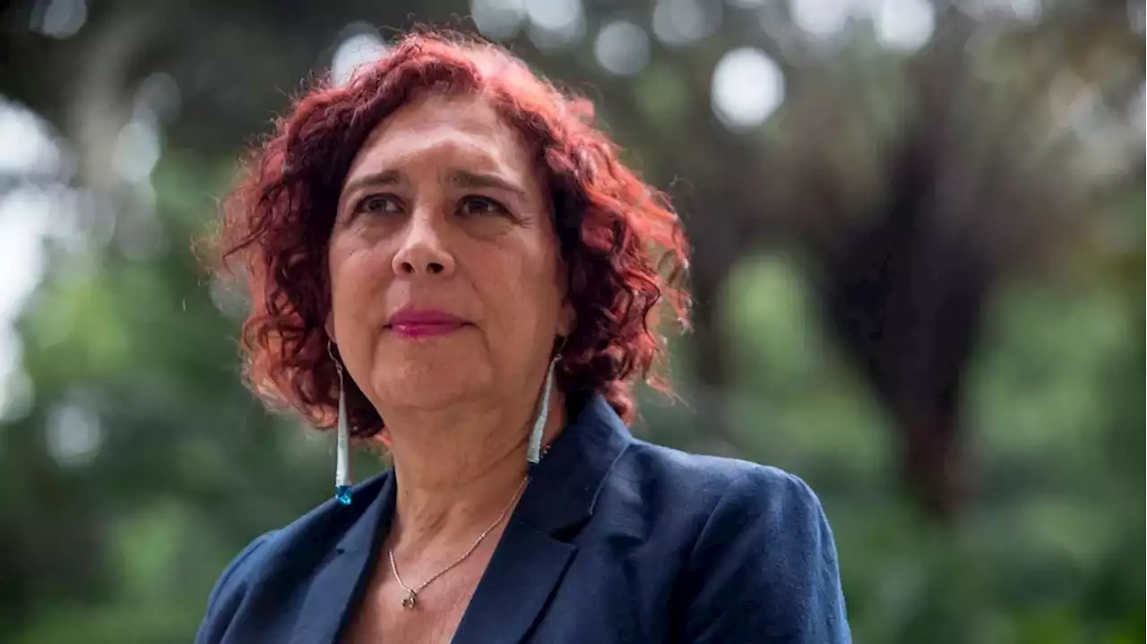 Tamara Adrián, la primera mujer trans en el mundo en lanzar su candidatura presidencial