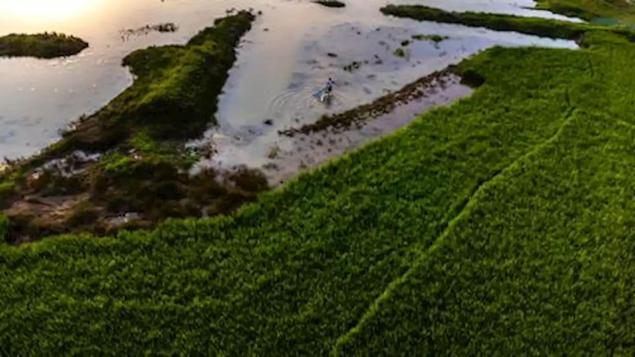 Parched or under water, glimpses of the Blue Planet overwhelmed by humans