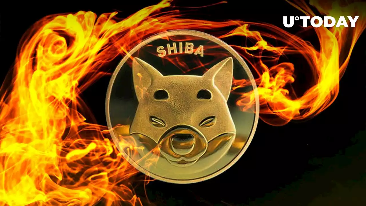 303.7 Million SHIB Burned in Last 7 Days as Burn Activity Faces Decline, so Does Price