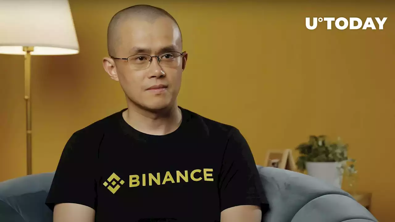 Binance’s CZ Warns Against Getting Into Certain Meme Coins – Important Reason