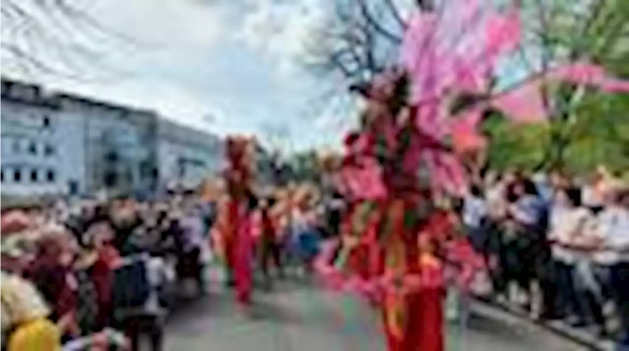 38. bremer straßenkarneval mit parade gestartet