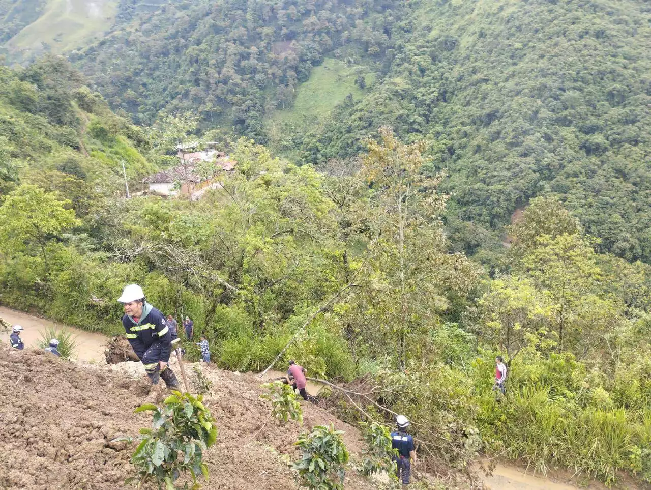 Buscan a adulto mayor que habría sido sepultado por un derrumbe en Salamina, Caldas