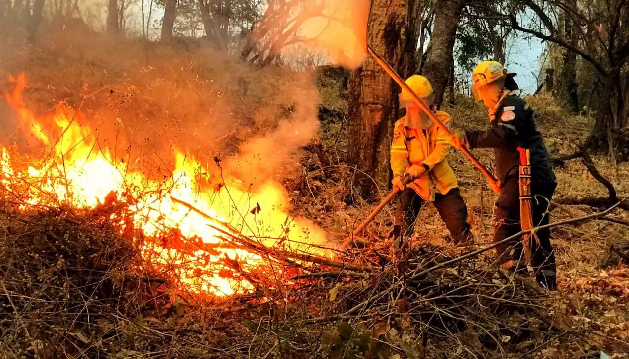 Alerta naranja por riesgo de incendios forestales en La Guajira y Sur de Bolívar