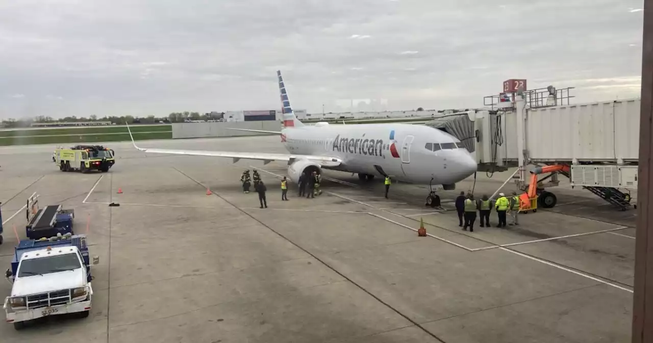 Americans Airlines flight bound for Phoenix diverted after bird strike