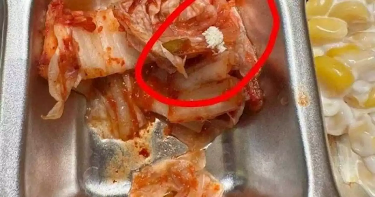 Fly eggs on kimchi? It's part of cabbage root, says Yishun restaurant after diner's complaint