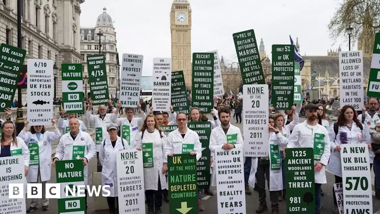 Extinction Rebellion: Climate activists stage Earth Day demonstration