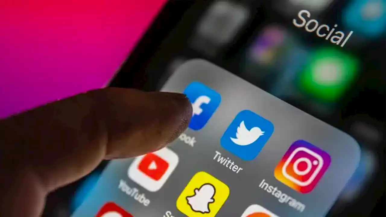 TikTok not the only app that should be banned from official phones, government told