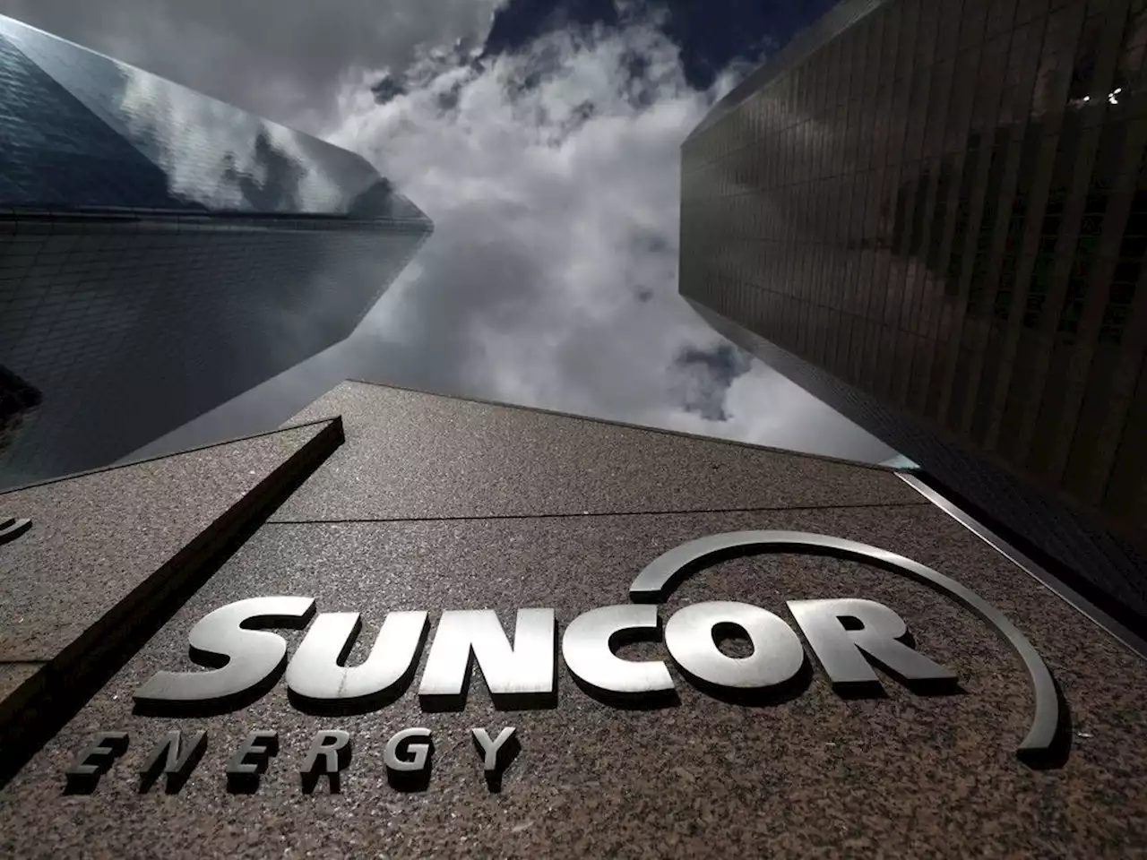 Alberta Energy Regulator to probe wildlife death at Suncor tailings pond