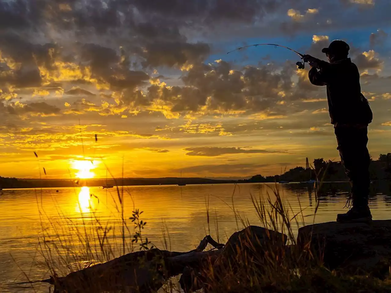 We should all be watching more sunsets for the good of our mental health: new study