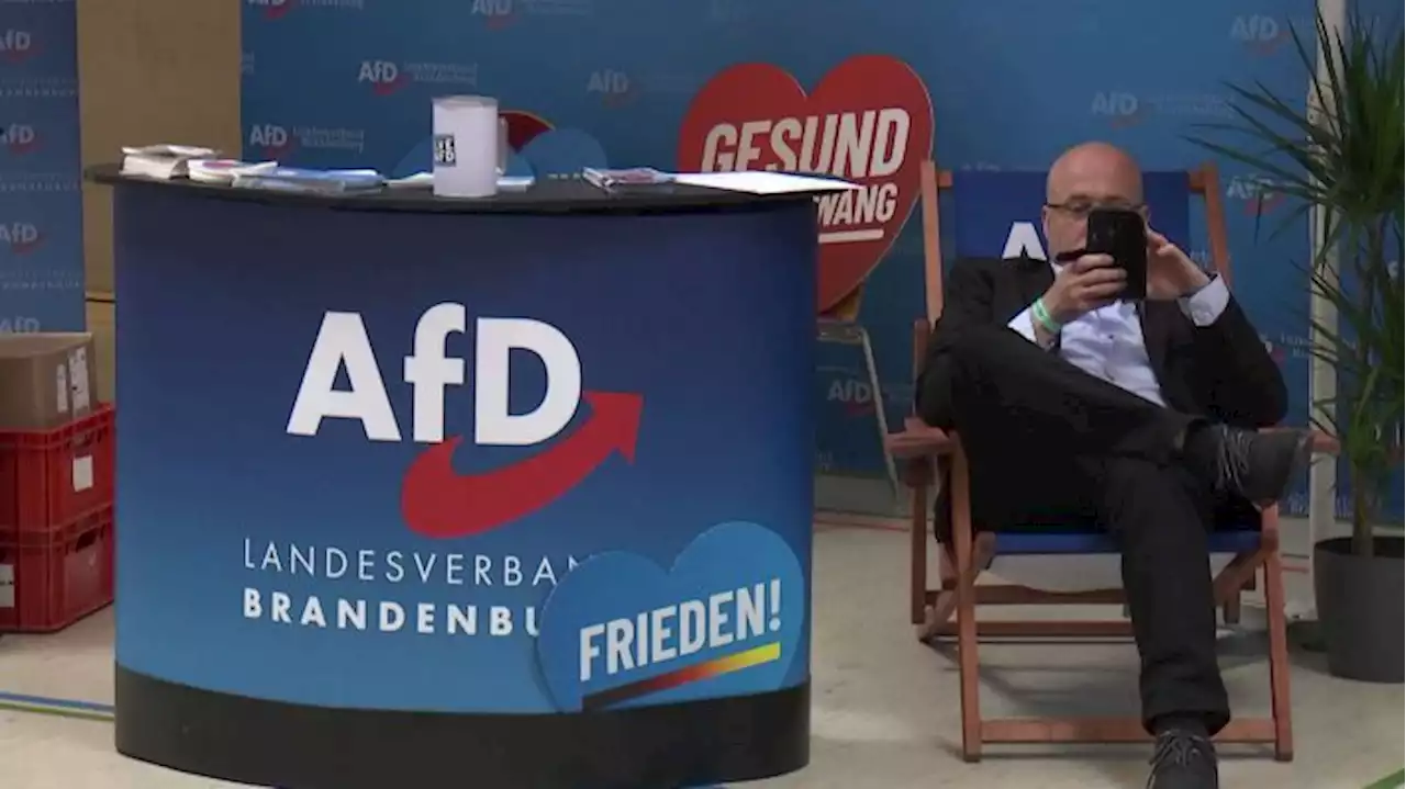 Die AfD beschäftigt sich mit dem Ukraine-Krieg und der Frage nach der Schuld