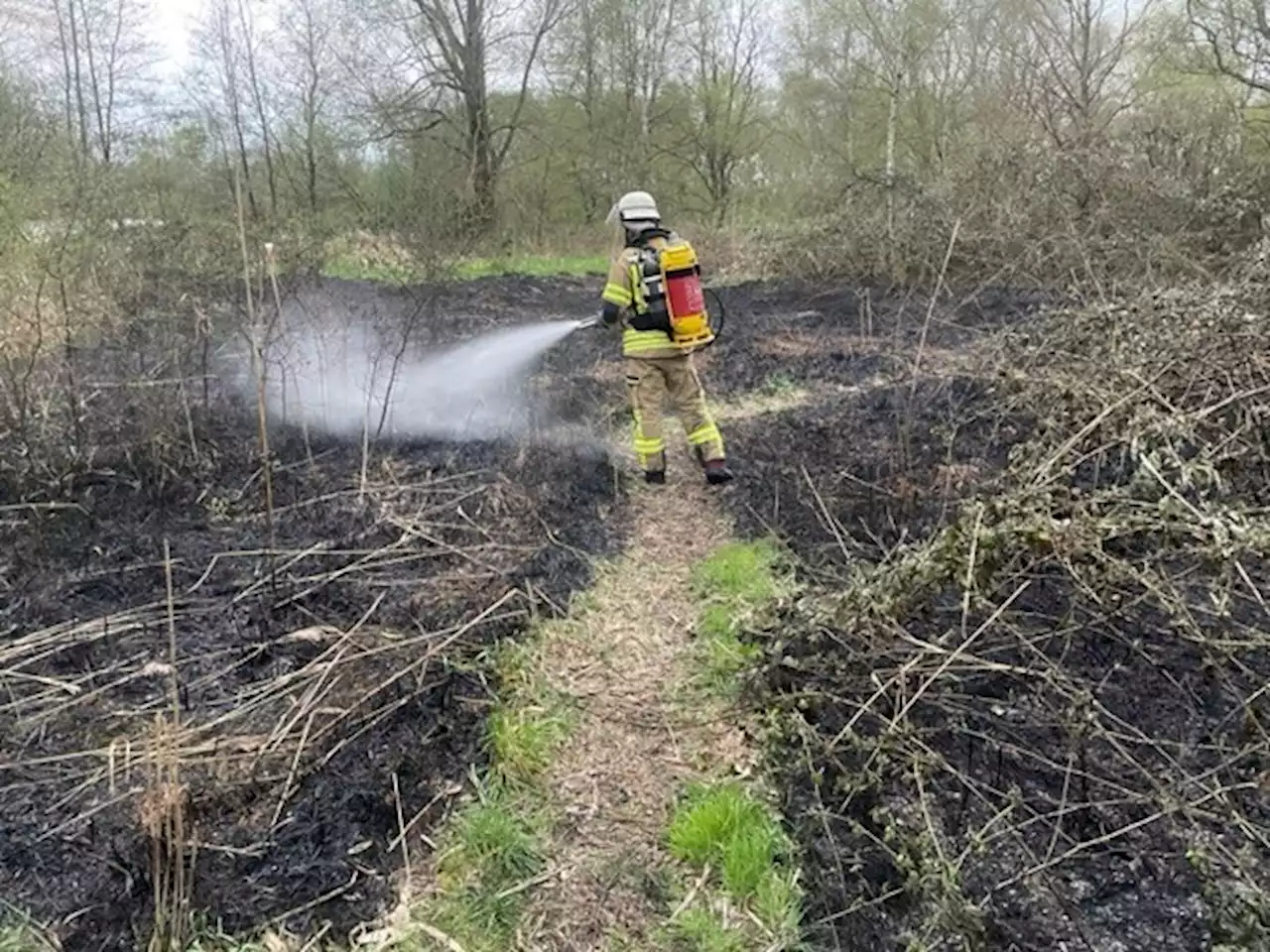 Feuerwehr Bremerhaven löscht Vegetationsbrand im Forst Reinkenheide --- (Cityreport24-Nachrichtenblog)