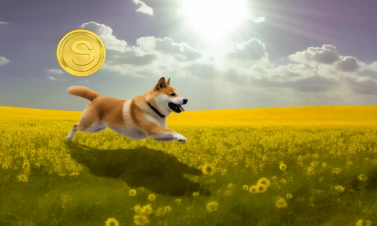 Dogecoin Foundation exec weighs in on ‘safe’ memecoin, SEC’s crypto-regulations