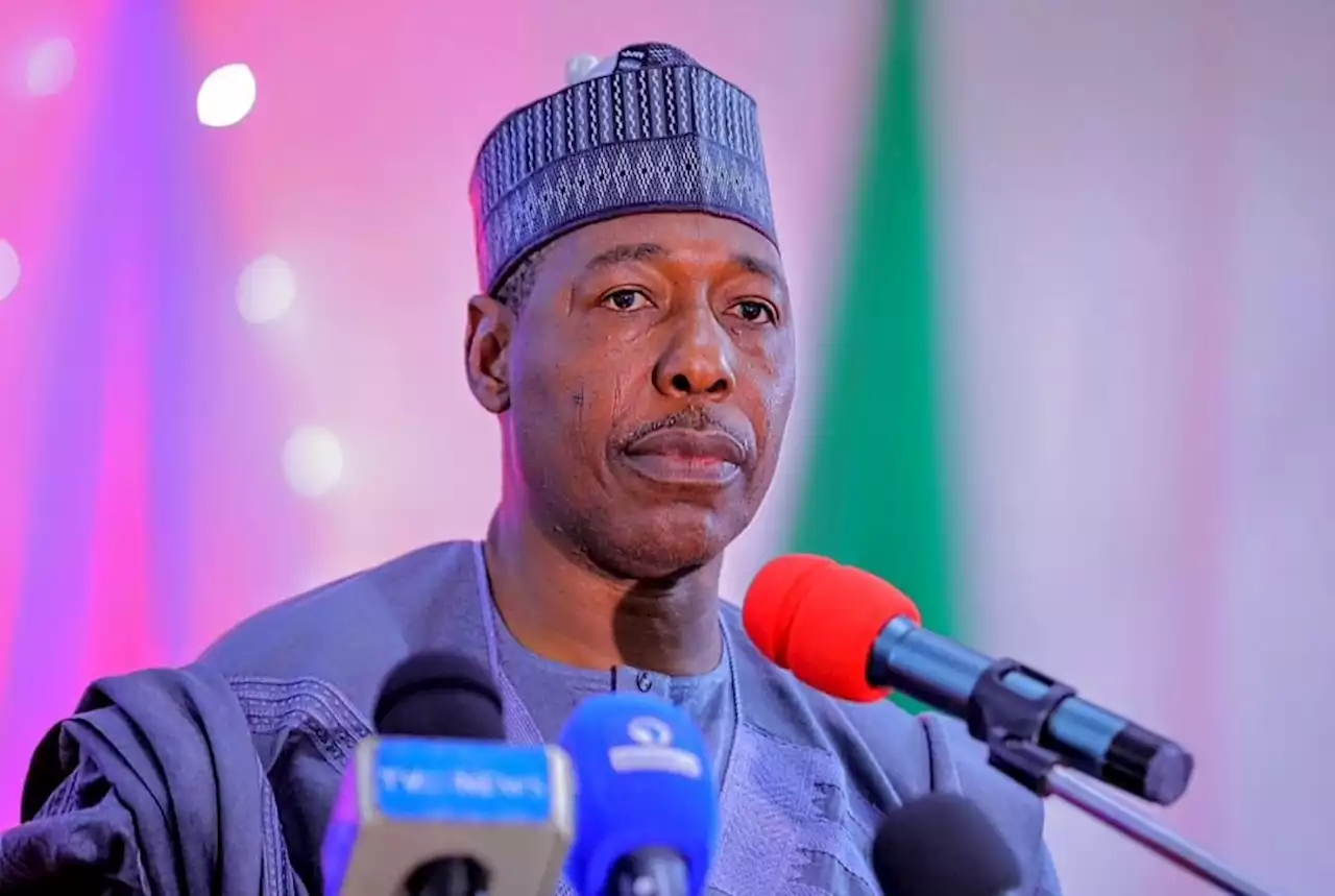 Tinubu, Shettima will support me in tackling Borno's problems - Gov Zulum