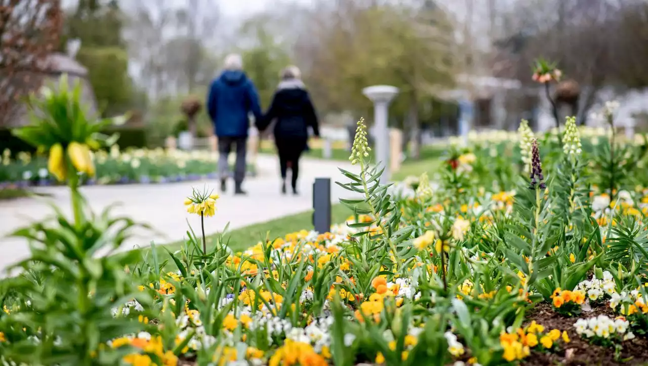 Wetter: Warm für ein Wochenende, dann droht wieder Nachtfrost