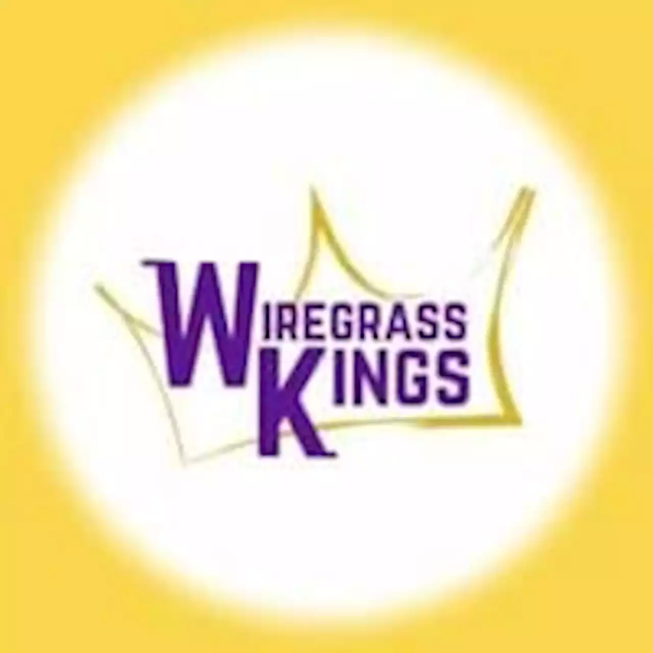 PREP SPORTS: Wiregrass Kings teams fall short of ACSC state finals