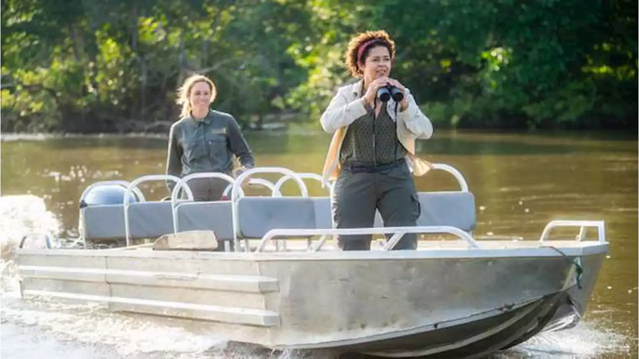 “Los elefantes también tienen sus propias culturas”: Paula Kahumbu