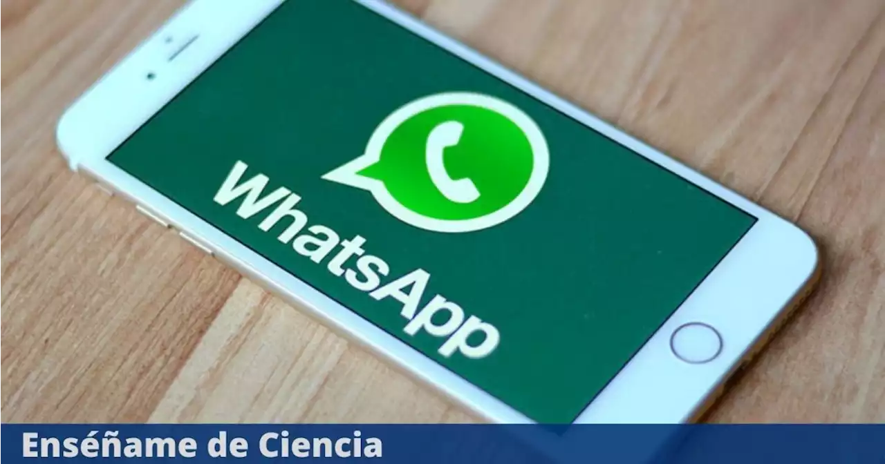 WhatsApp: cómo saber si un desconocido tiene guardado tu número de teléfono