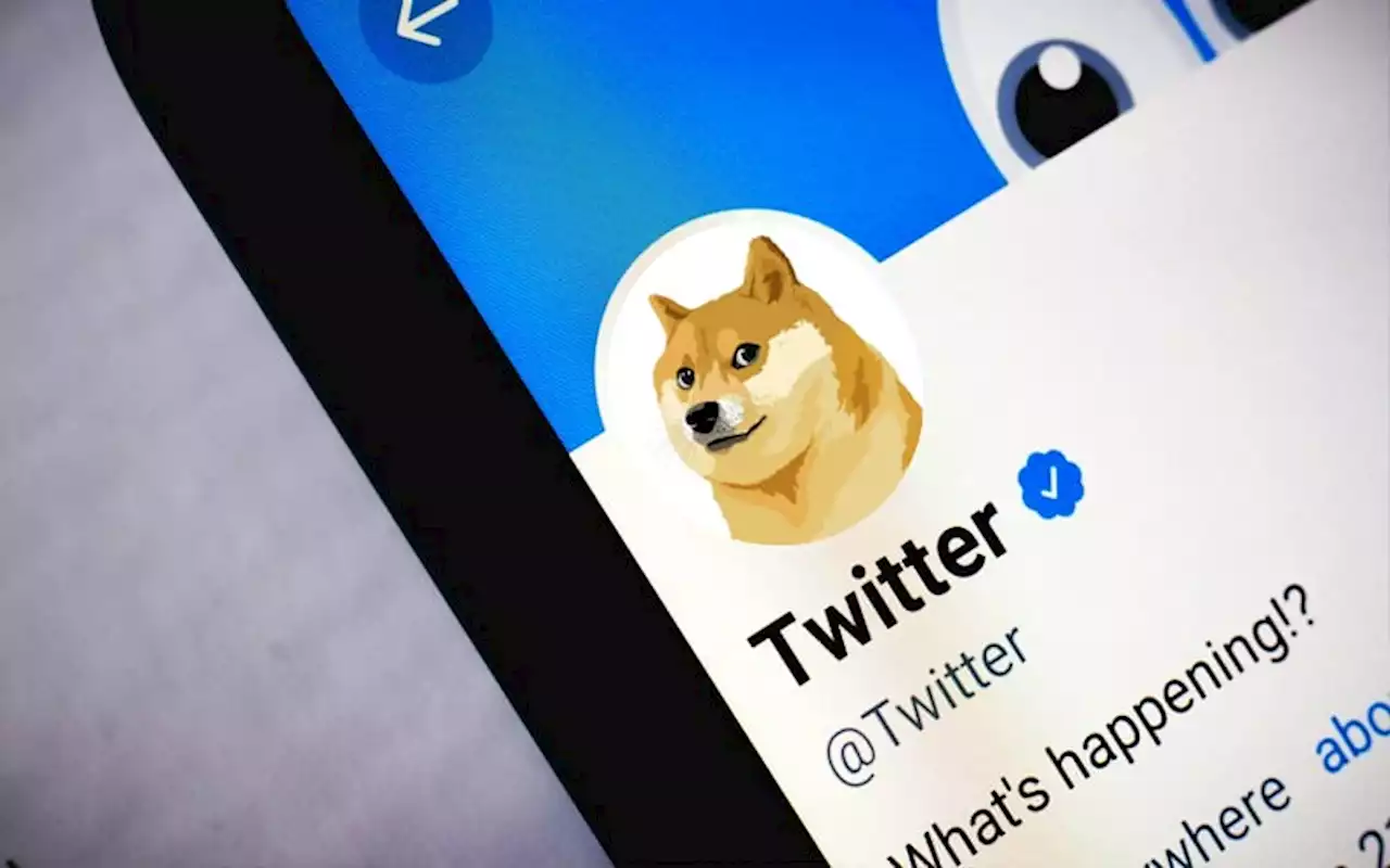 Twitter reinstates blue ticks for some media, celebrities