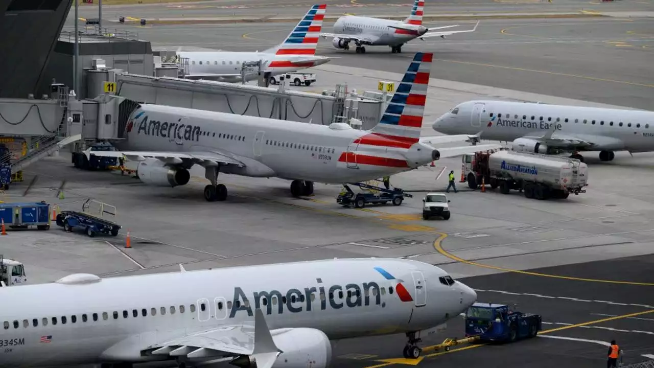 Bird strike forces American flight to return to airport after takeoff