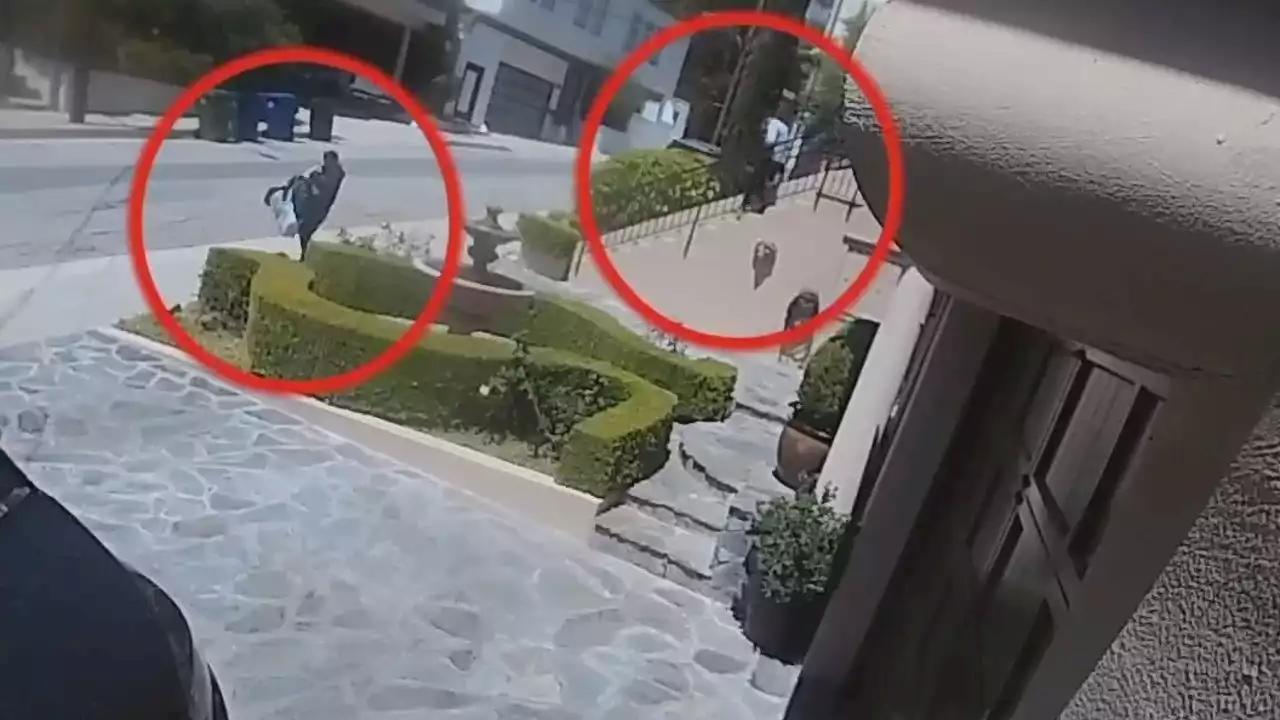 VIDEO: Thieves burglarize Hollywood Hills home in broad daylight