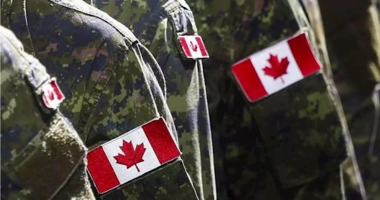 Will Canada’s ‘woeful’ military readiness alienate NATO allies? - National | Globalnews.ca