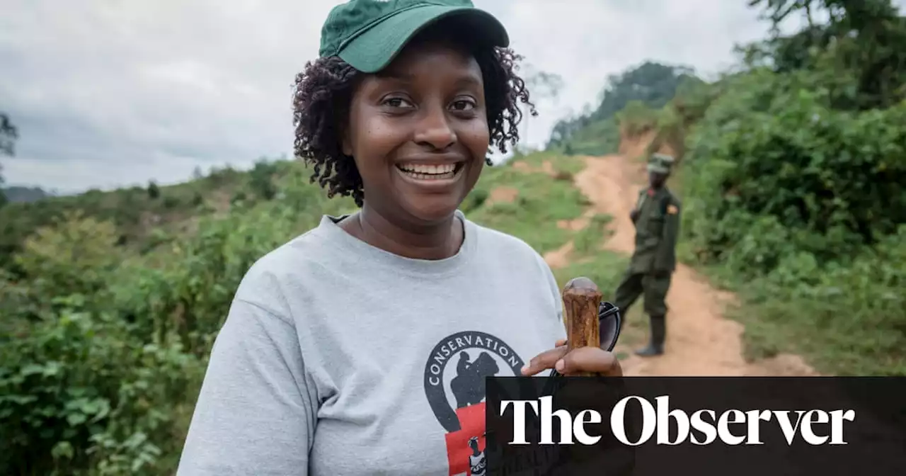 Champion of the gorillas: the vet fighting to save Uganda’s great apes