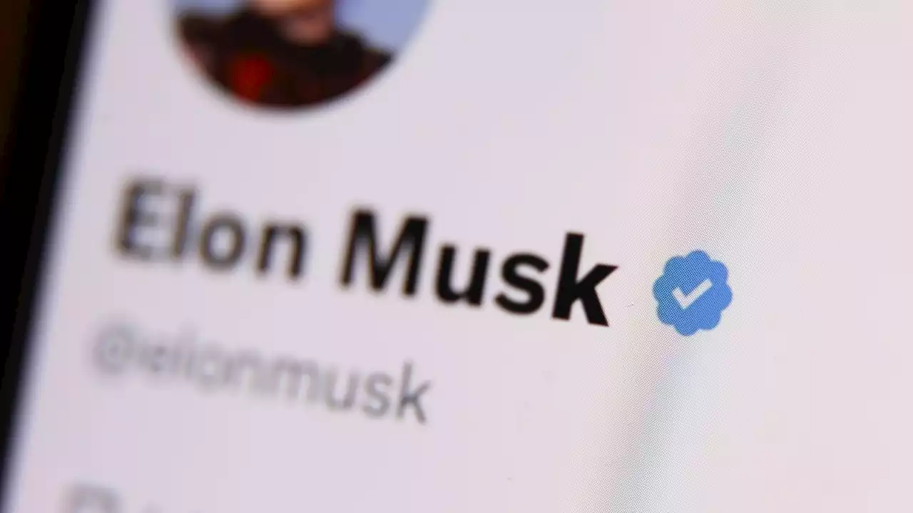 Musk ci ripensa: su Twitter torna (gratis) la spunta blu per i vip (anche defunti)