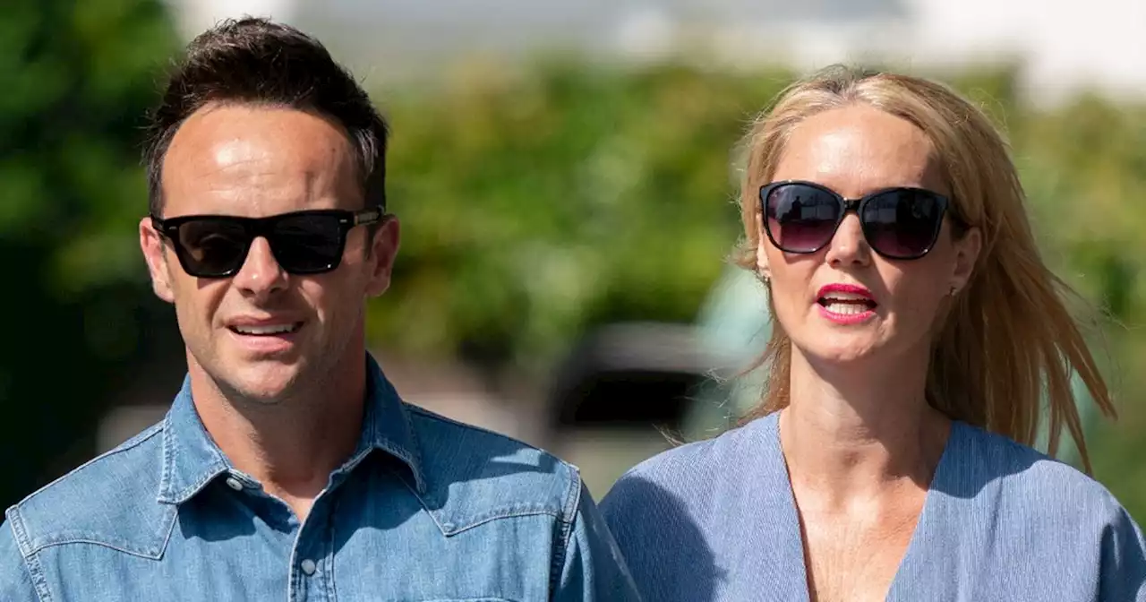 Ant McPartlin heroically saves four puppies as woman collapses in the park