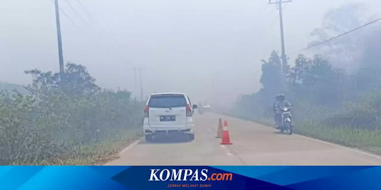 Dumai Dilanda Karhutla Selama 5 Hari, Wali Kota Telepon Gubernur Riau Minta Bantuan Helikopter