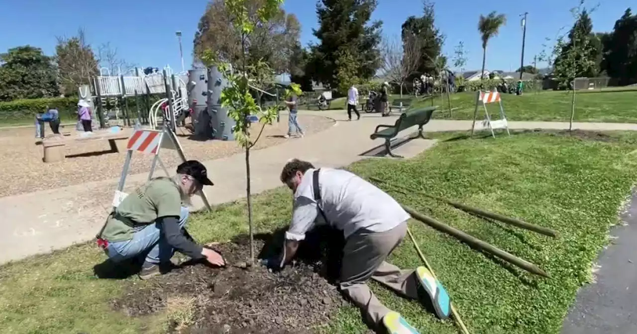 Earth Day celebrations around the Bay Area mix hope with realism