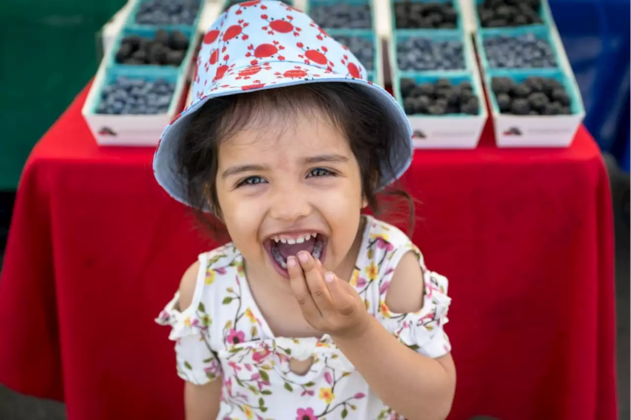 Stocking up on health at Main Street Canoga Park Farmers Market on Saturdays