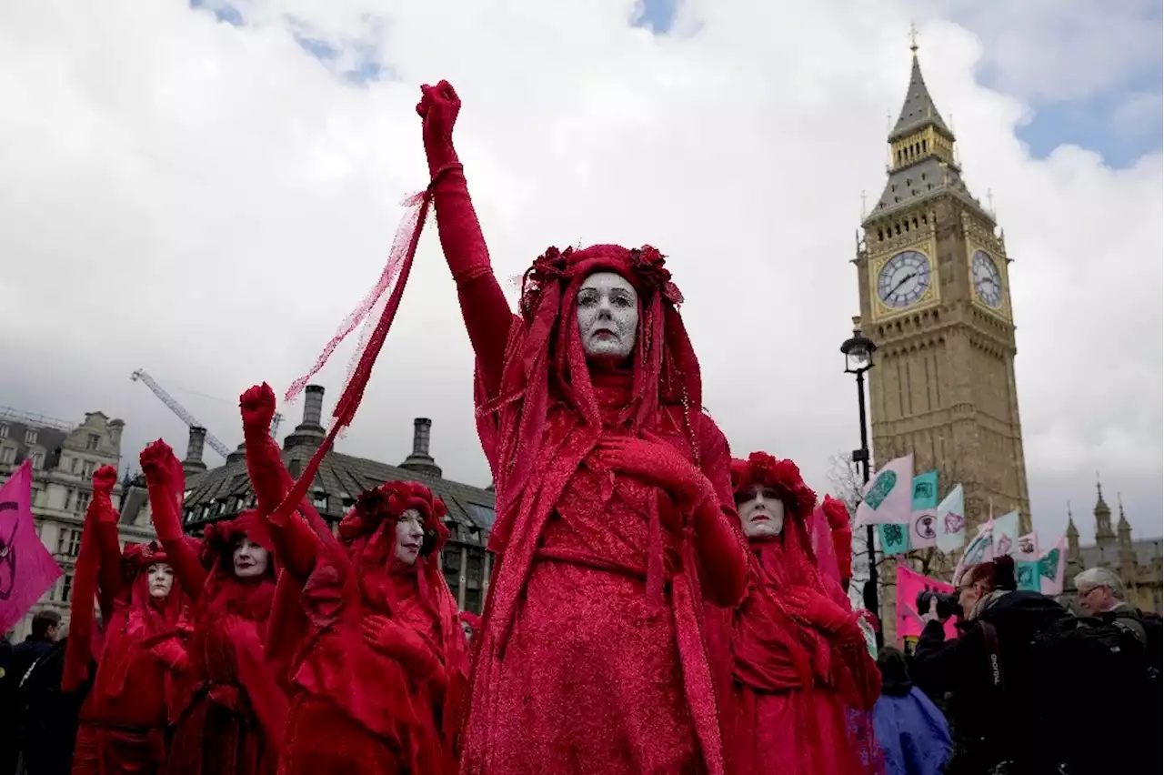 Miles se manifiestan por la biodiversidad frente a Parlamento británico