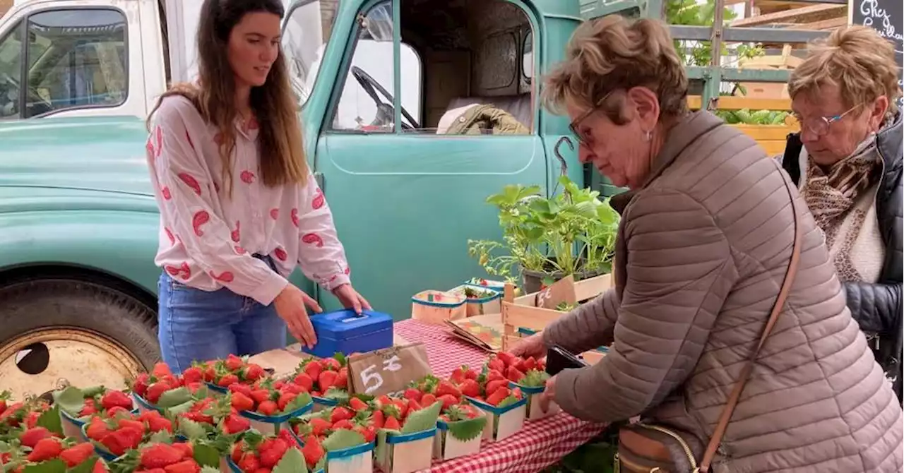 Plusieurs centaines de personnes réunies pour la Fête de la fraise à Salon