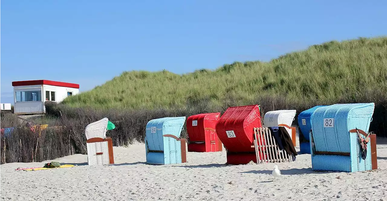 Auf der Insel Düne: Wo man Strand und Meer mit Robben teilt