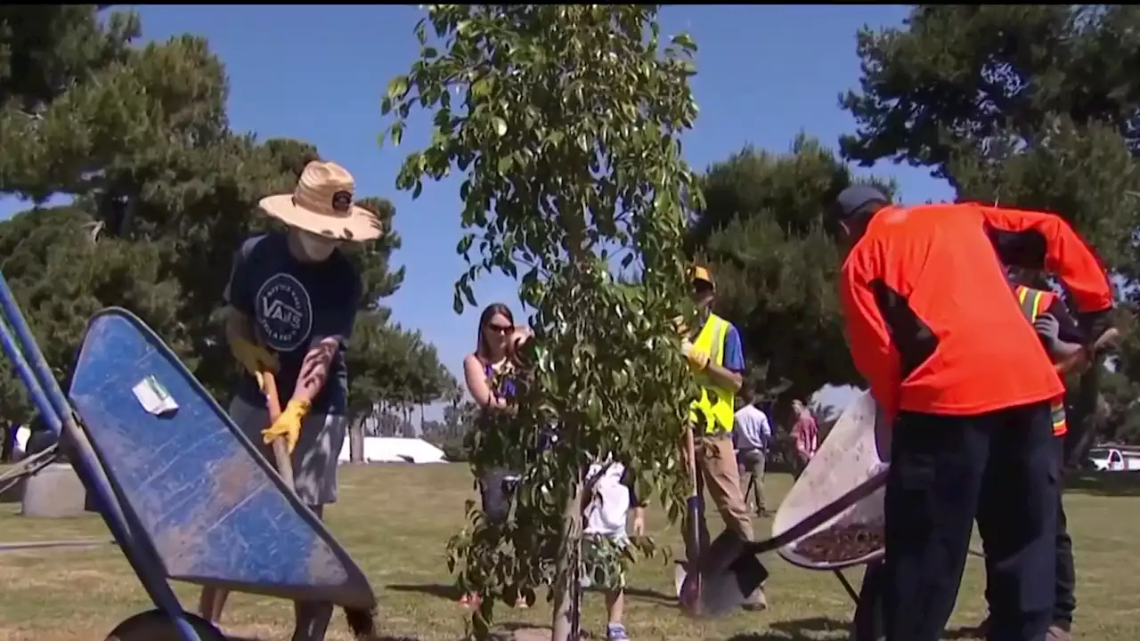 Volunteers Plant 60 Trees in Mission Bay on Earth Day