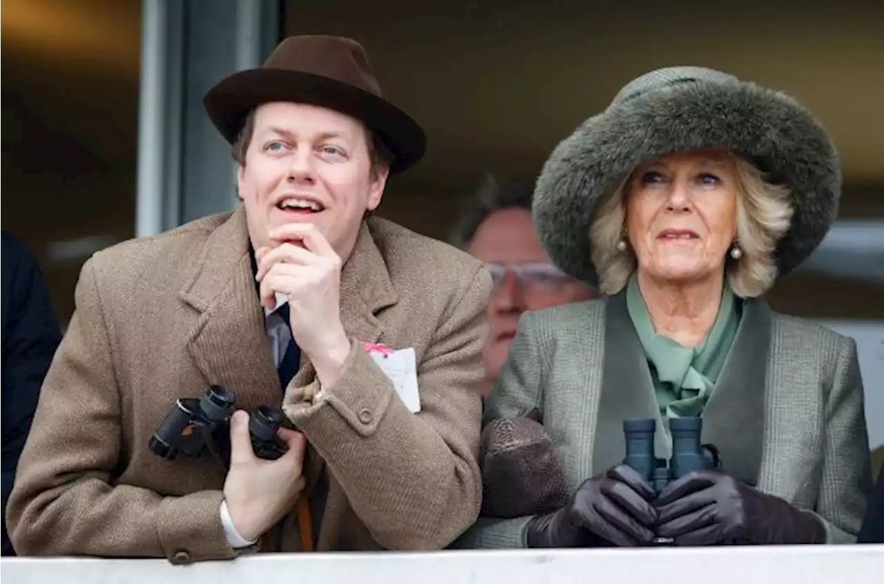 Queen Camilla's son defends his mother against Prince Harry's criticisms | You