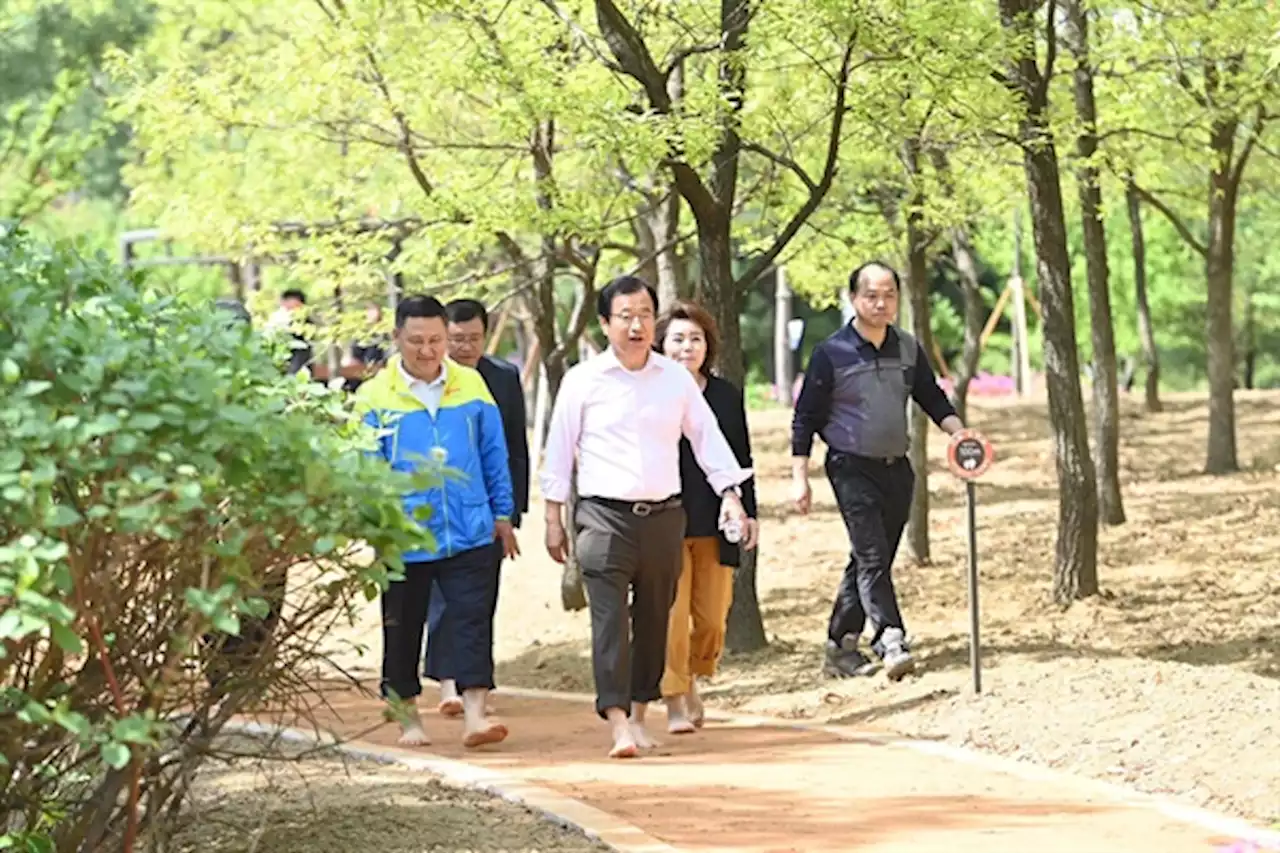 하남시, 1호 황토 산책길 조성... '맨발 걷기로 건강과 힐링'