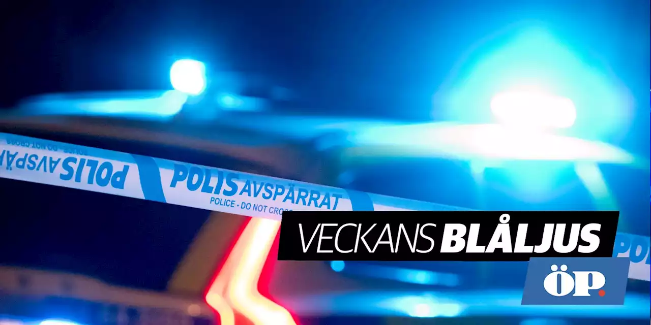 Veckans blåljus: Fängelse för Mörsil-branden • Polisens spår efter alkoholkuppen • Lurades på halv miljon