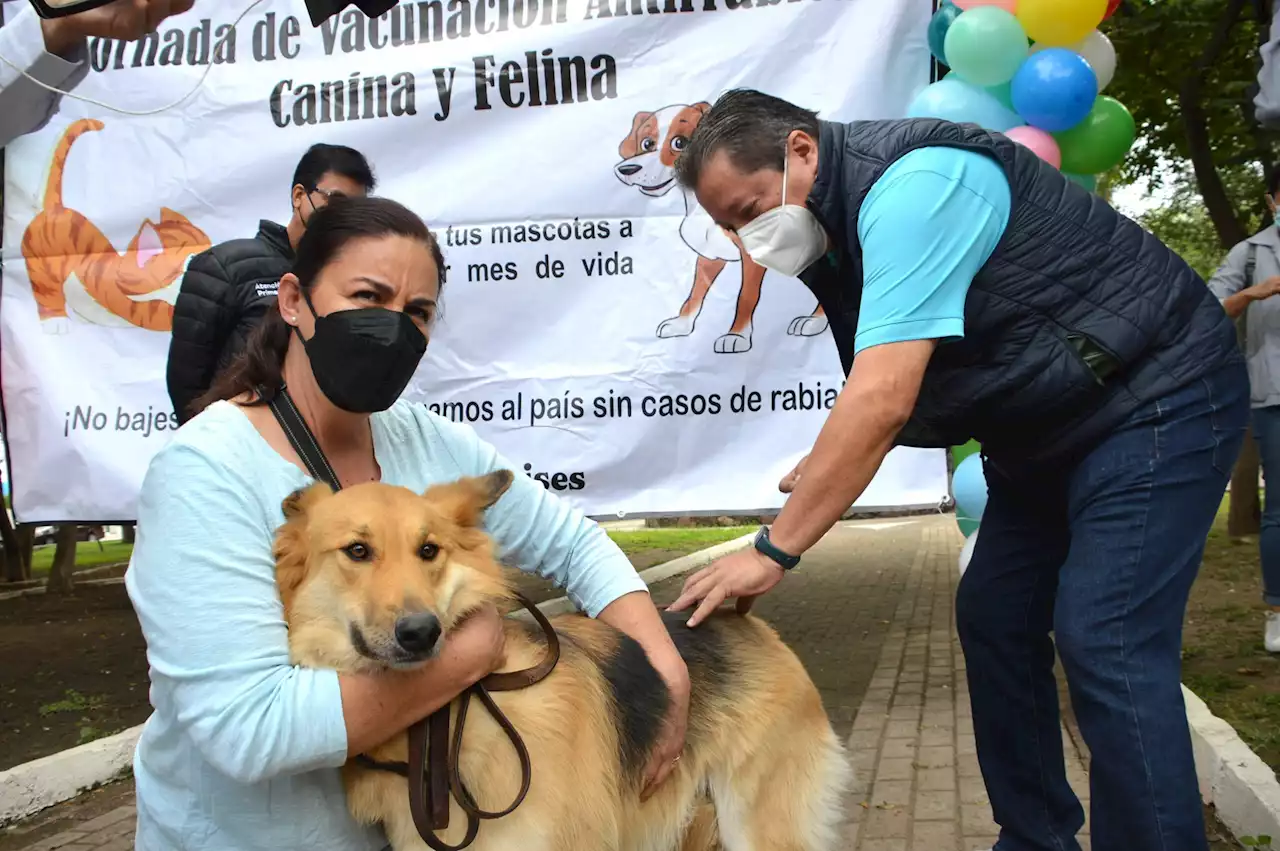 Jornada estatal de vacunación antirrábica comienza este domingo