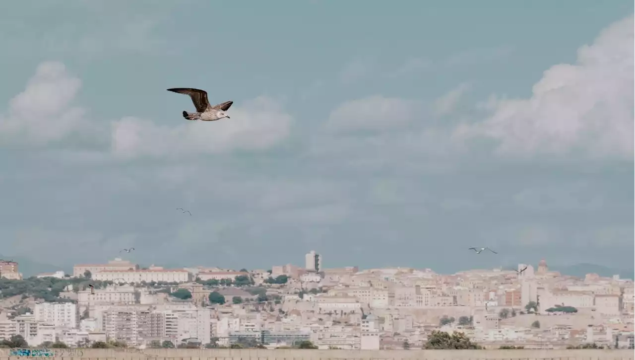 Previsioni meteo, arriva un caldo da spiaggia: ma (forse) non durerà