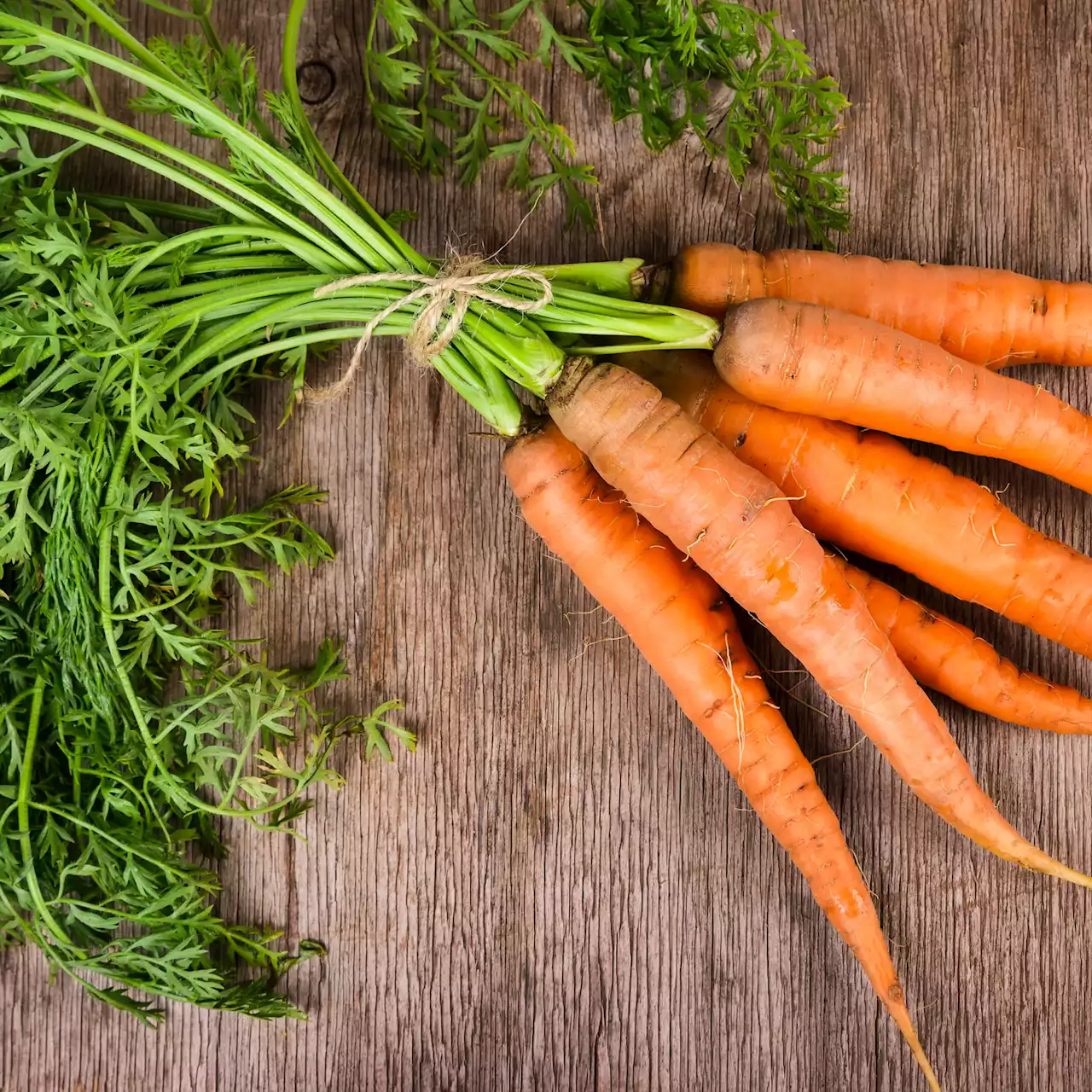 Jardinage : comment réussir la culture de la carotte au potager ?