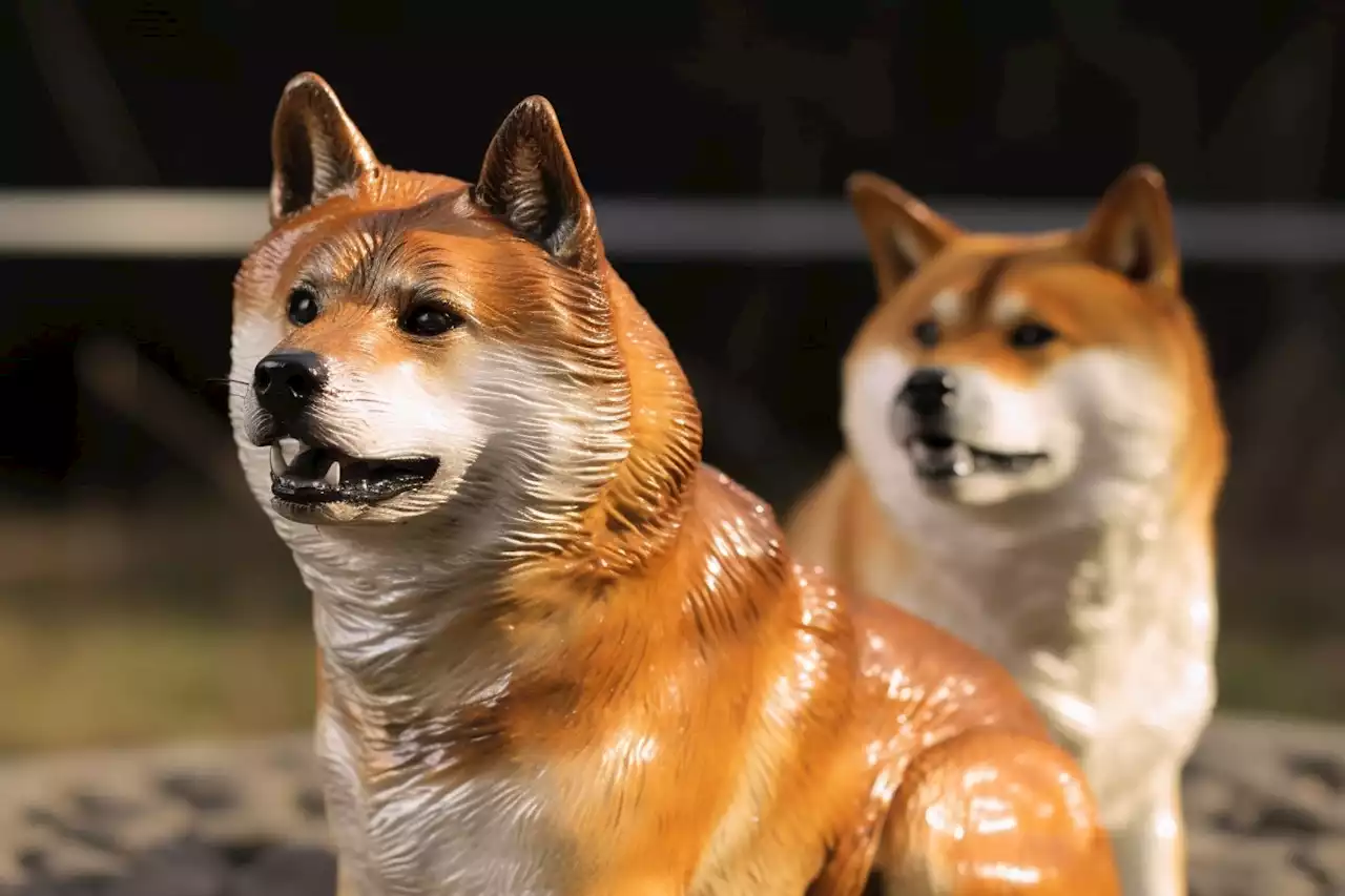 Shiba Inu กว่า 3 ร้อยล้าน SHIB ถูกเบิร์นในช่วง 7 วันที่ผ่านมา อัตราการเบิร์นร่วงลงไปพร้อมกับราคา