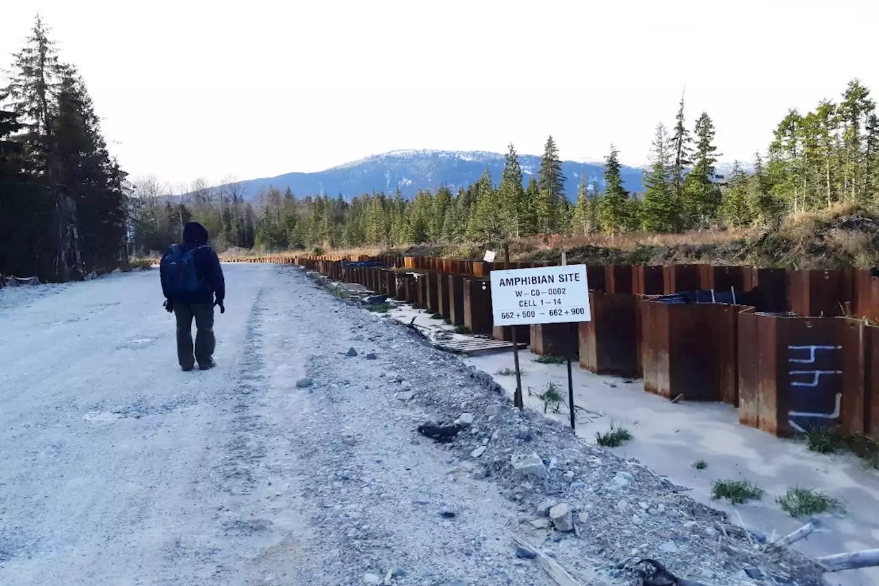 CGL pipeline disrupts amphibian migration: Kitimat environmental groups - Terrace Standard