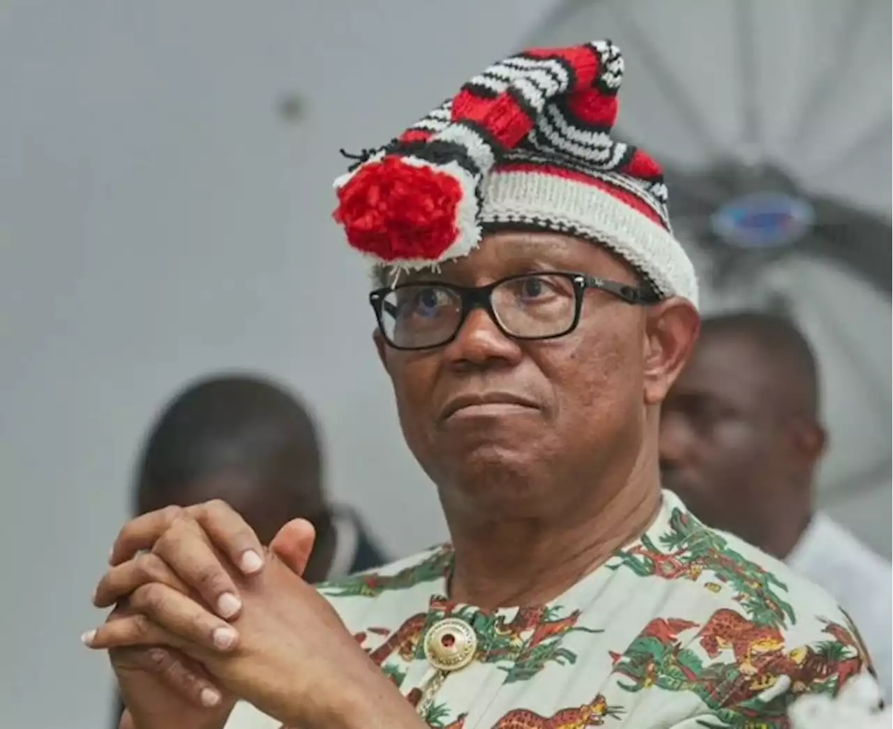 Peter Obi: A tsetse fly perching on the scrotum | TheCable