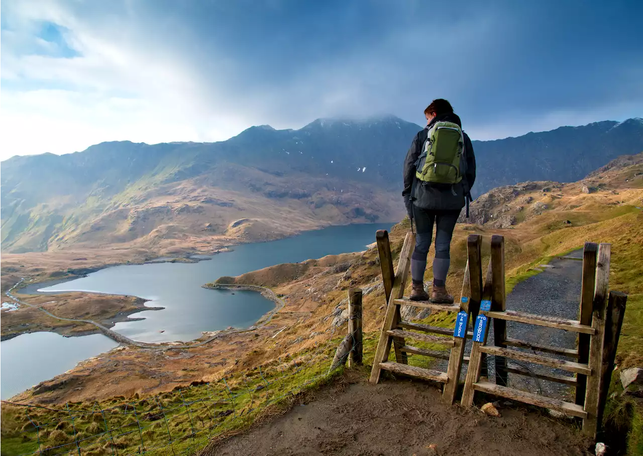 People think this UK park is straight out of New Zealand