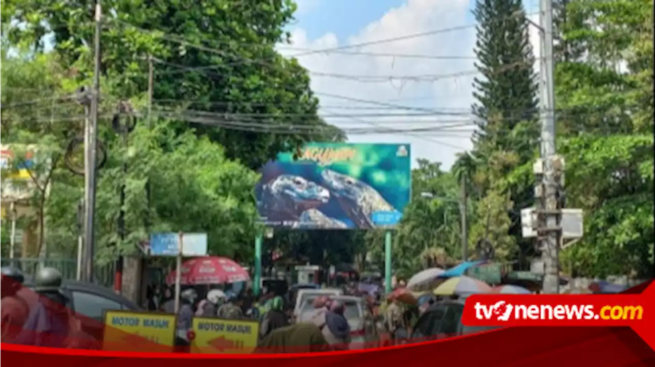 Lebaran Hari ke-2, Siang Hari Ragunan Tetap Ramai Tembus 14 Ribu Pengunjung