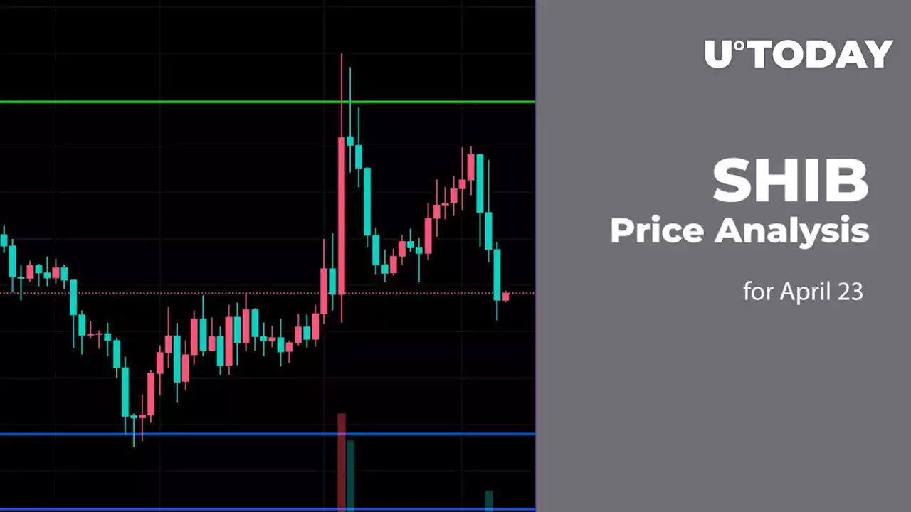 SHIB Price Analysis for April 23