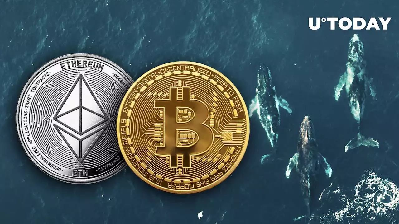 Three Whales Make Big Bets on ETH and BTC via DeFi Protocols