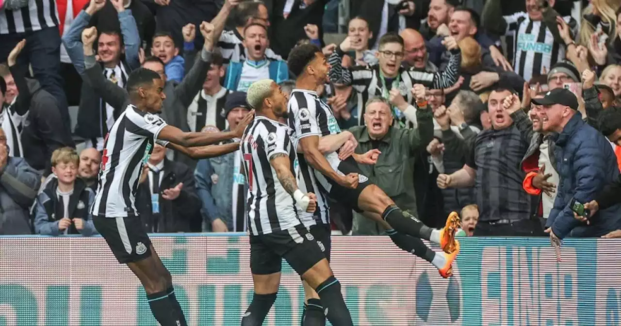 Ongekende afgang voor Tottenham: Newcastle deelt grote dreun uit